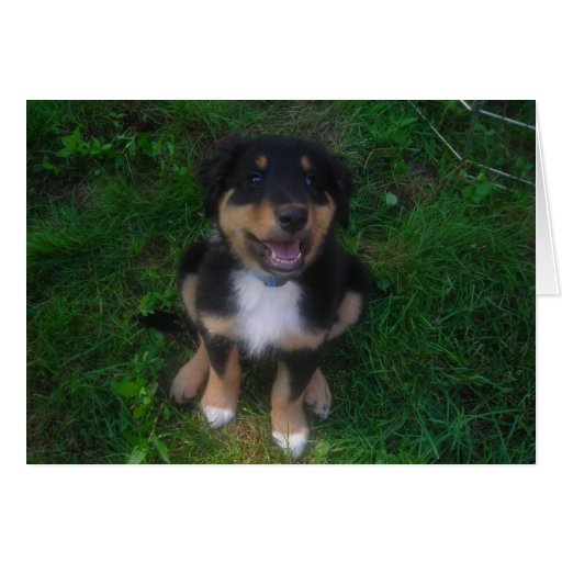 Say it with a Puppy Card