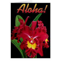 Say it with Aloha! 2 ( Cards )