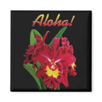 Say it with Aloha! Magnets 2