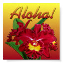 Say it with Aloha! posters by MoonArtandDesigns Say it with Aloha! posters