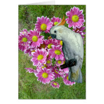 Say It With Flowers