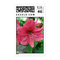 Say it With Pink stamps