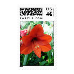 Say it With Red postage