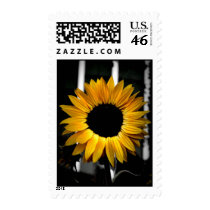 Say it with Sunflowers Postage