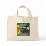 Say "neither" to paper or plastic bags