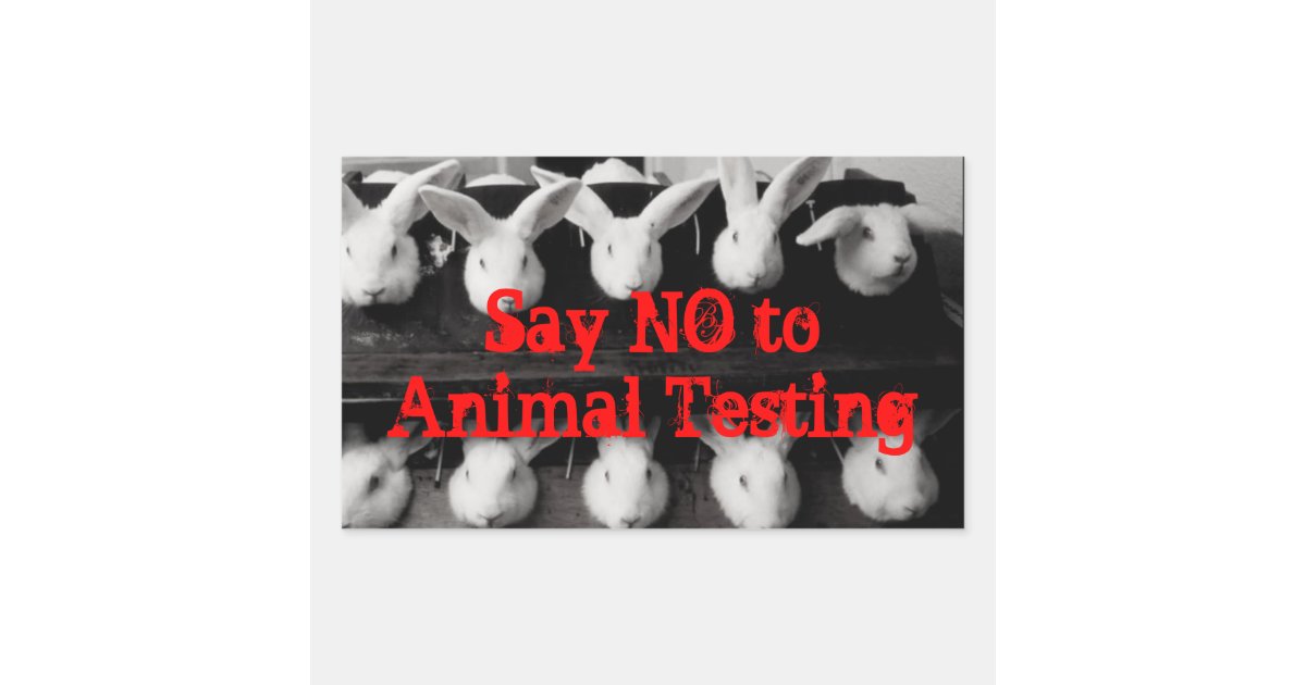 Why animal testing is necessary image