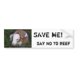 Say NO to Beef bumper sticker