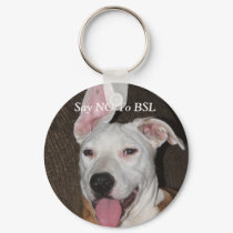 SAY NO TO BSL keychains by kawieesaki SAY NO TO BSL keychains