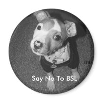 Say No To BSL magnets by kawieesaki Say No To BSL magnets
