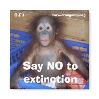 Say No to Extinction magnet