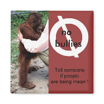 Say No to Meanness magnets