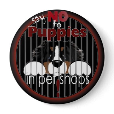 Say NO To Pet Shop Puppies Button