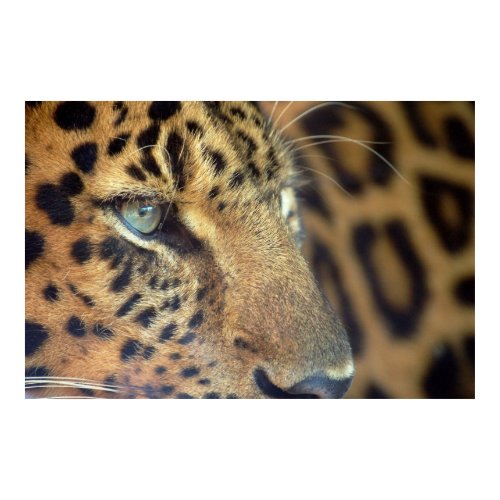 Saying Goodbye... print