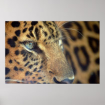 Saying Goodbye... Print