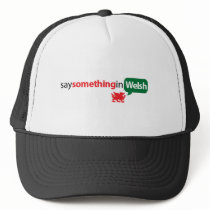 SaySomethinginWelsh hats