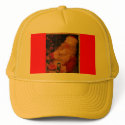 SC hats