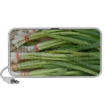 Scallions iphone ipad Speaker