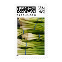 Scallions postage