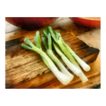 Scallions posters