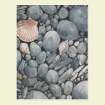 Scallop Shell and Black Stones postcards