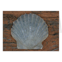 Scallop shell cards by cmgubanich Scallop shell cards