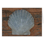 Scallop shell cards