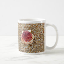 Scallop Shell - mug by Horseshoes3 Scallop Shell - mug