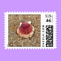 Scallop Shell - postage stamps by Horseshoes3 Scallop Shell - postage stamps