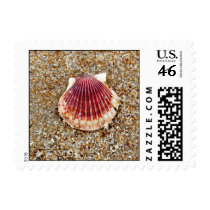 Scallop Shell - postage stamps by Horseshoes3 Scallop Shell - postage stamps