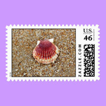 Scallop Shell - postage stamps by Horseshoes3 Scallop Shell - postage stamps