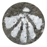 Scallop Shell Stickers