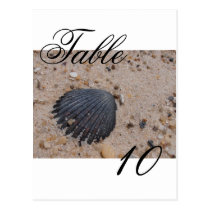 Scallop Shell Table Number Card postcards