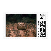 Scaly Scare Postage Stamp