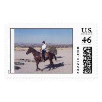 scan0002 postage