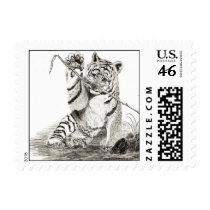 scan0028/tiger cub at play postage