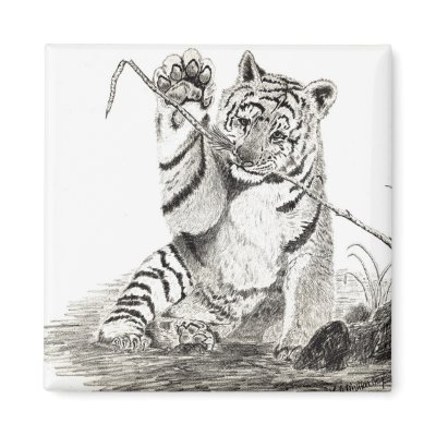 scan0028/tiger cub magnet by kmullarney