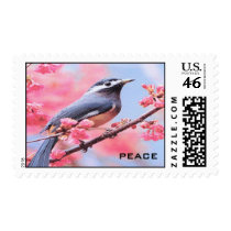 scan0051, PEACE postage