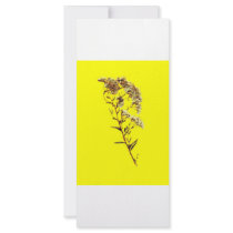 Scan of a florida wildflower w yellow background