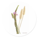 Scan of a green stem, purple roses, fuzzy flowers round stickers