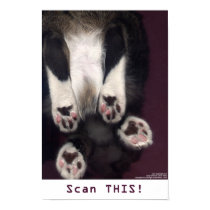 Scan THIS! Poster/Print