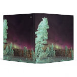 Scandinavia, Finland, Lapland, Kakslauttanen, Vinyl Binder