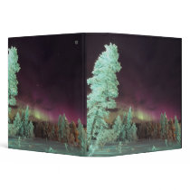 Scandinavia, Finland, Lapland, Kakslauttanen, Vinyl Binder