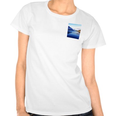 Scandinavian beauty tshirt