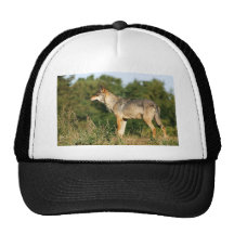 Scandinavian grey wolf mesh hat