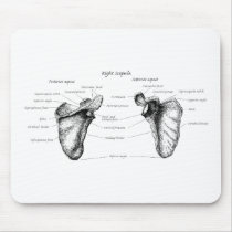 Scapula Details Mousepads