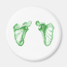 Scapula Green Fridge Magnet