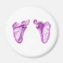 Scapula Purple Magnet