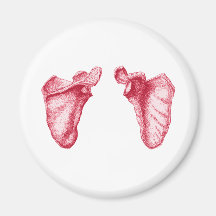 Scapula Red Fridge Magnet