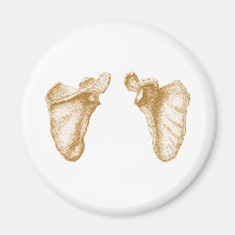 Scapula Sepia Fridge Magnets