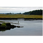 Scarborough Marsh (saltwater) Maine